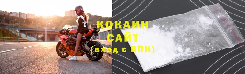 Cocaine Fish Scale Павловский Посад