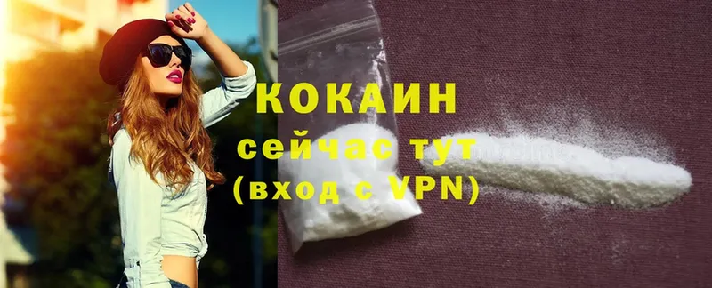 как найти закладки  Павловский Посад  COCAIN Колумбийский 