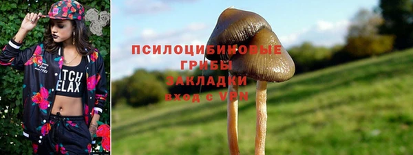 таблы Михайловск