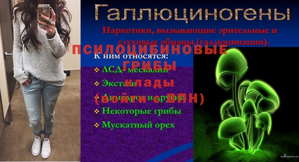 крисы Михайловка