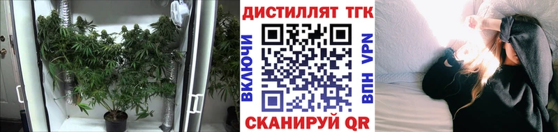 где купить наркоту  Павловский Посад  мега tor  Дистиллят ТГК вейп с тгк 