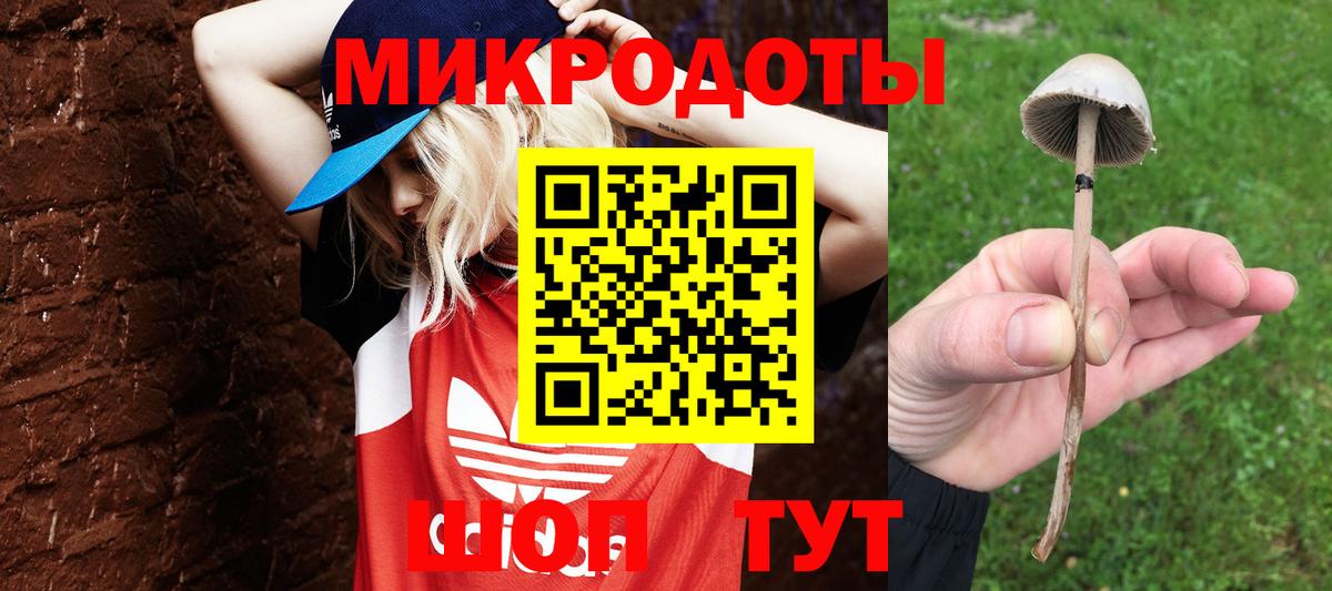 Галлюциногенные грибы Psilocybe  Галлюциногенные грибы мухоморы  Вход с VPN  Павловский Посад 